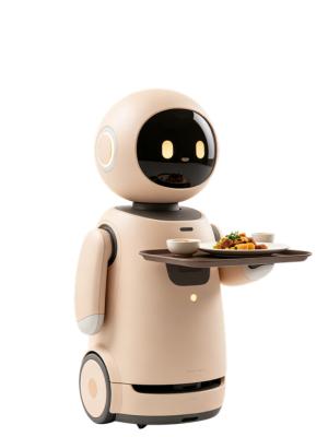 Catering Delivery Robots